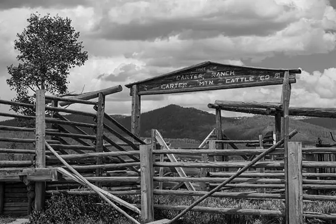 Carter Mountain Cattle Company